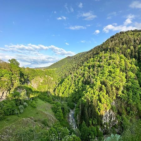 Green Mountain Borjomi Exterior photo