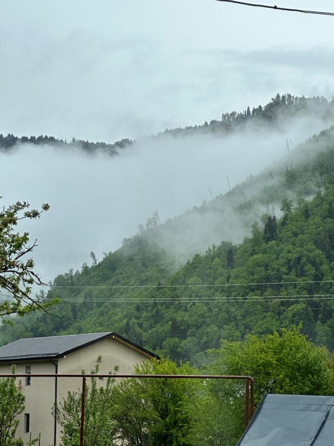 Green Mountain Borjomi Exterior photo