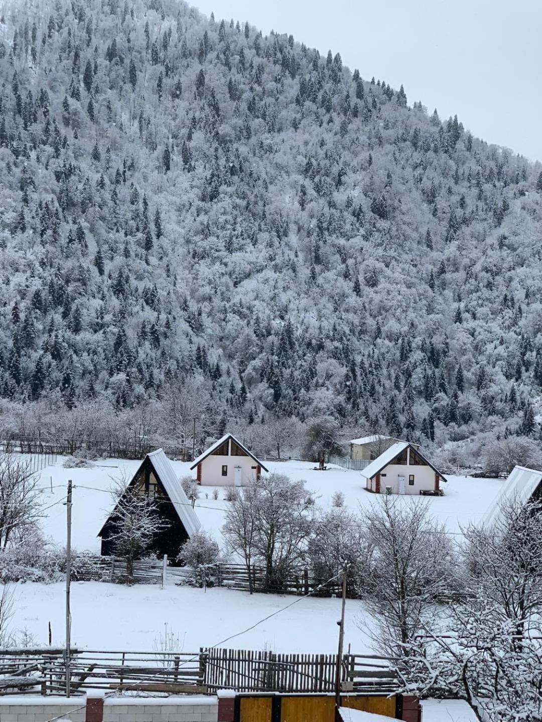 Green Mountain Borjomi Exterior photo