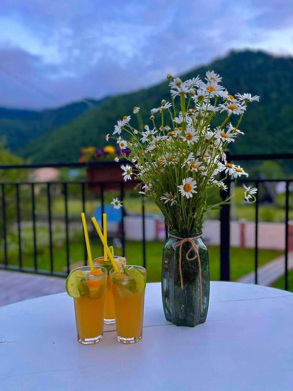 Green Mountain Borjomi Exterior photo